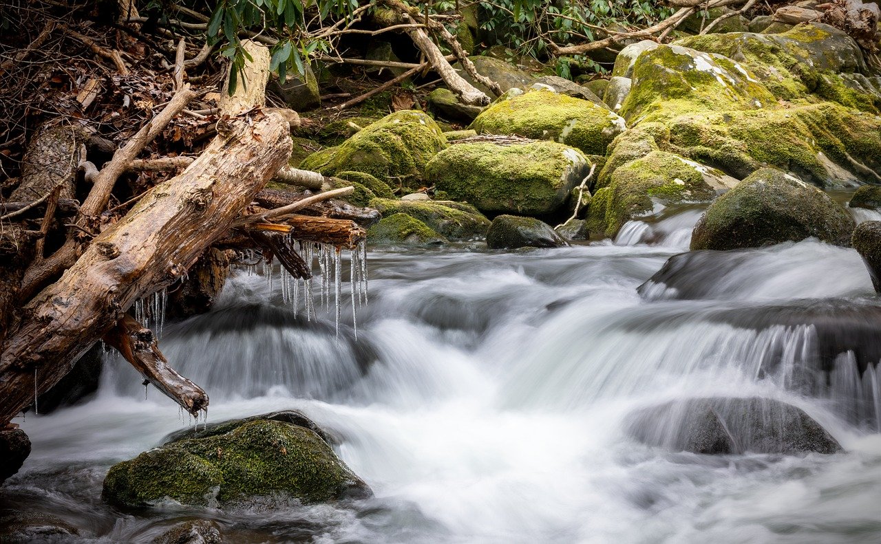 The Ultimate Guide to Exploring the Cascades